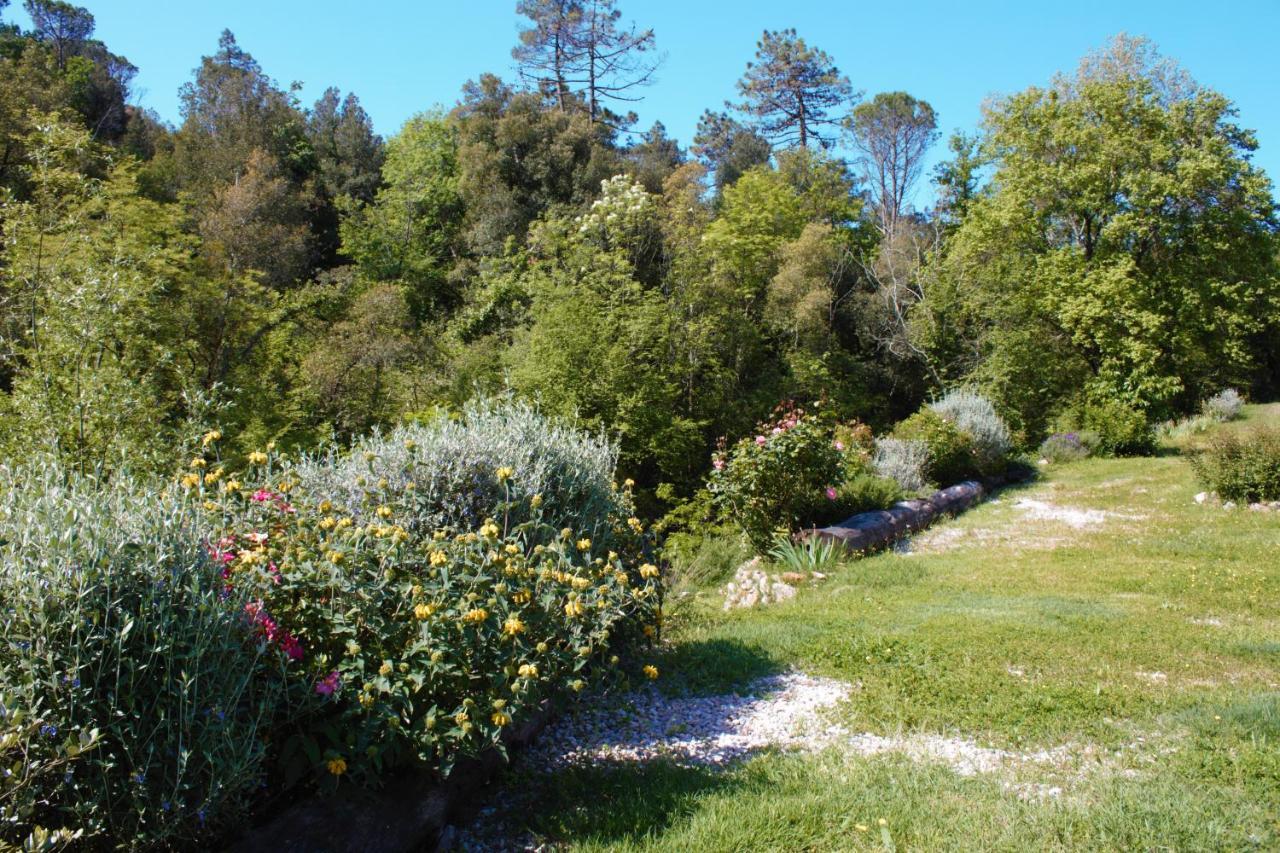 Mulino Della Rivolta * Montenero (Livorno)
